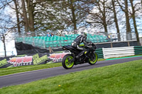 Lower Group Black Bikes